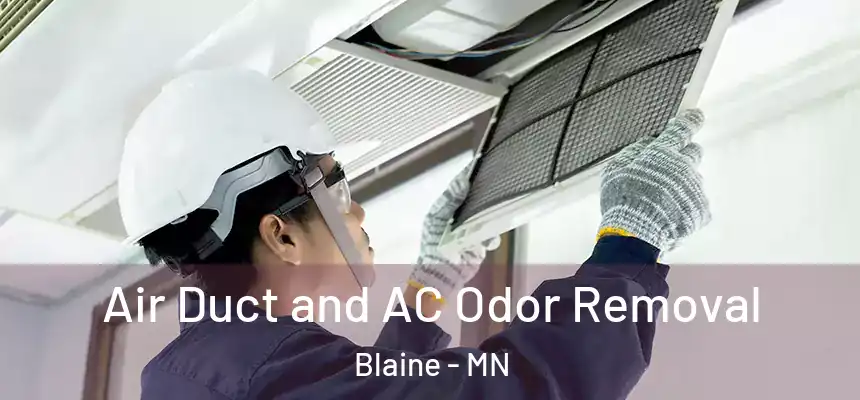  Air Duct and AC Odor Removal Blaine - MN