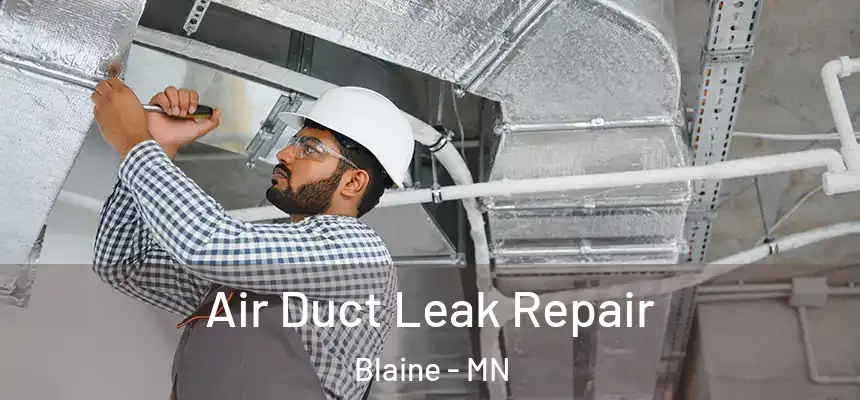  Air Duct Leak Repair Blaine - MN