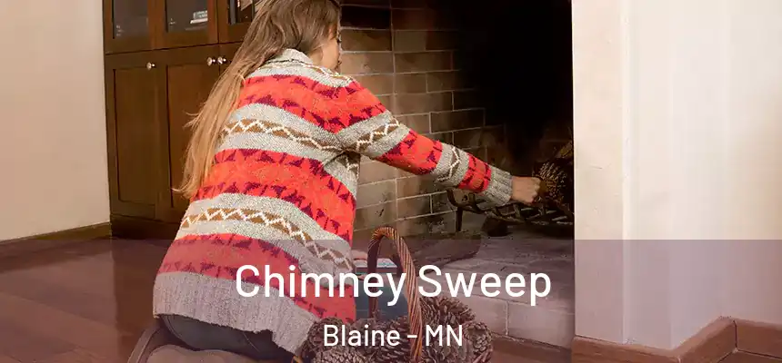  Chimney Sweep Blaine - MN