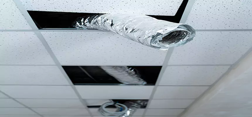 Affordable HVAC Sanitizing After Pest Removal in Blaine