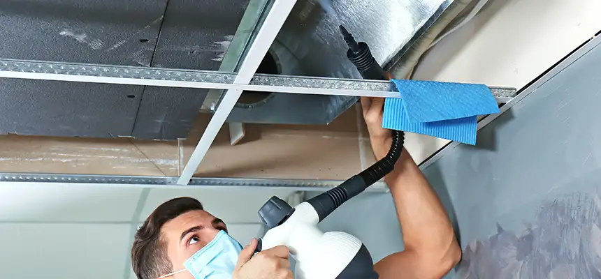 Our Air Duct Rodent Removal Services in Blaine, MN