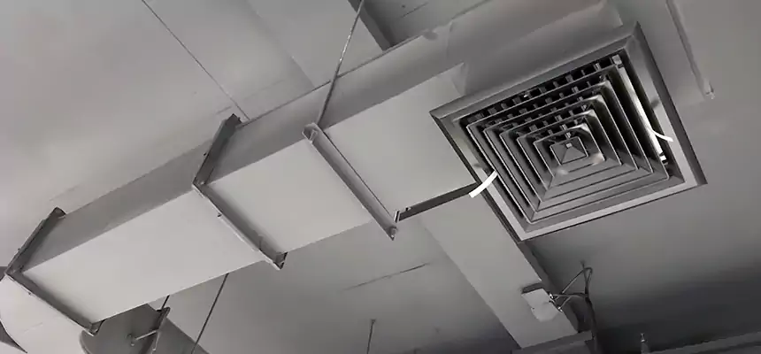 Restorative Allergy Relief Vent Cleaning – Coil, Blower & Housing Detail in Blaine