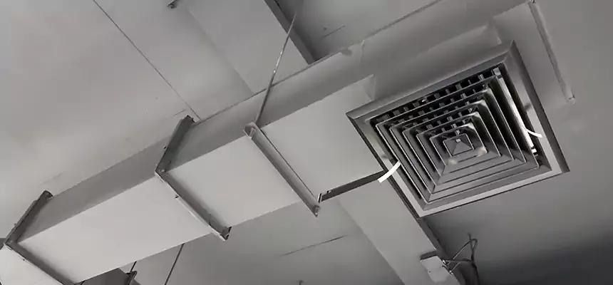 Our Rodent Droppings In Vents Services in Blaine, MN