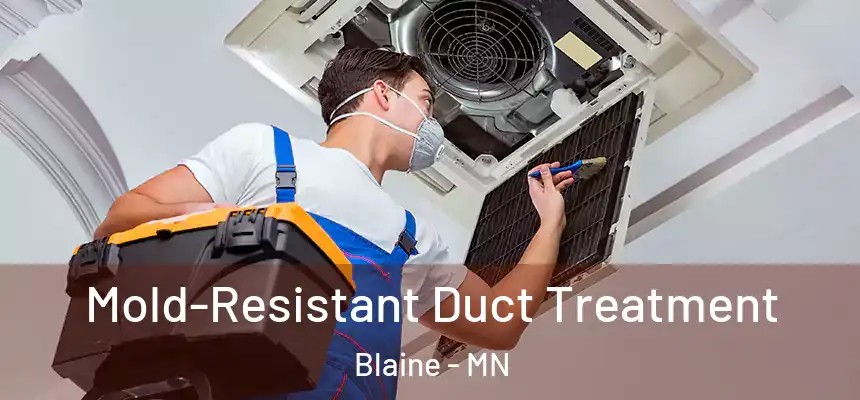  Mold-Resistant Duct Treatment Blaine - MN