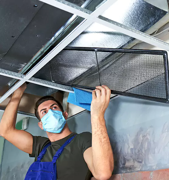 Professional Air Duct Pollen Cleaning in Blaine, MN