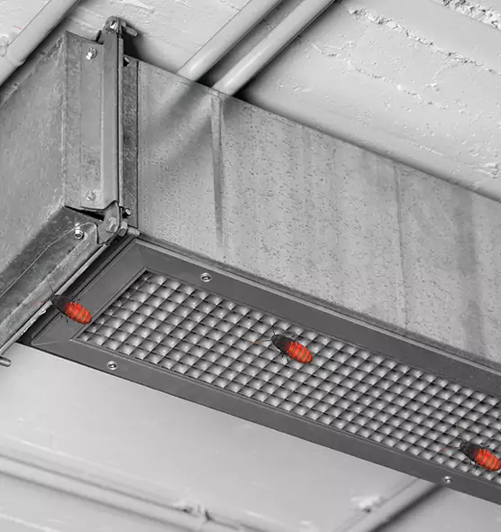 Affordable Insect Removal from Air Ducts in Blaine, MN