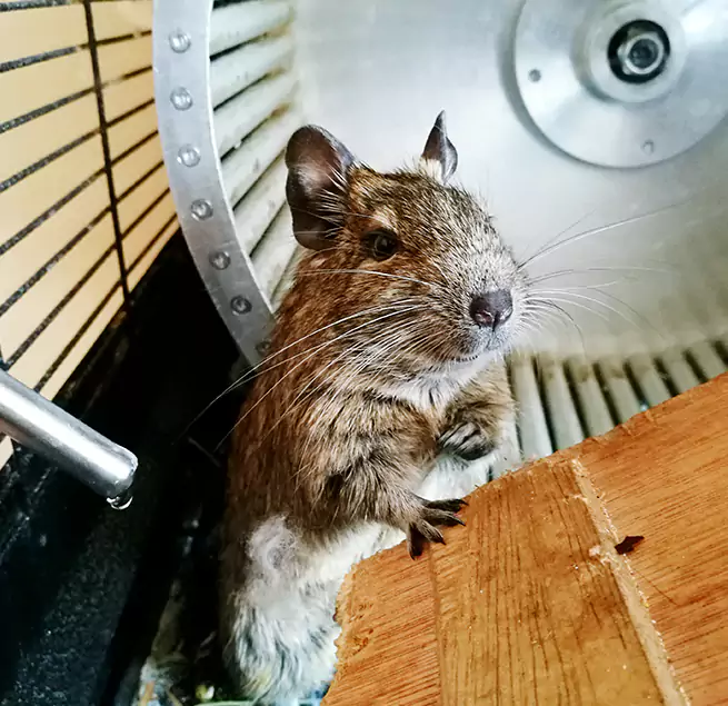 Why Homeowners & Businesses Trust Us Blaine, MN?