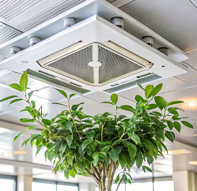 Why Homeowners & Businesses Trust Us in Blaine, MN