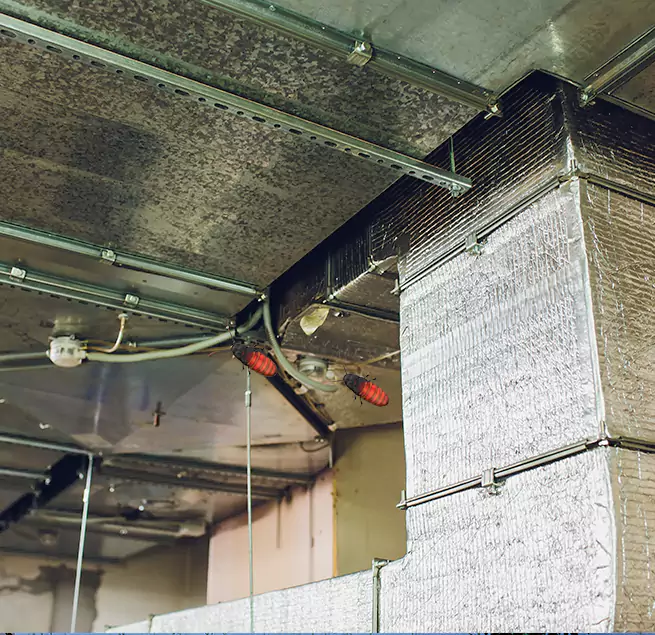 Why Homeowners & Businesses Trust Us Blaine, MN?