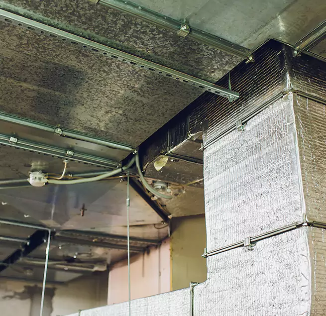 Why Homeowners & Businesses Trust Us in Blaine, MN?