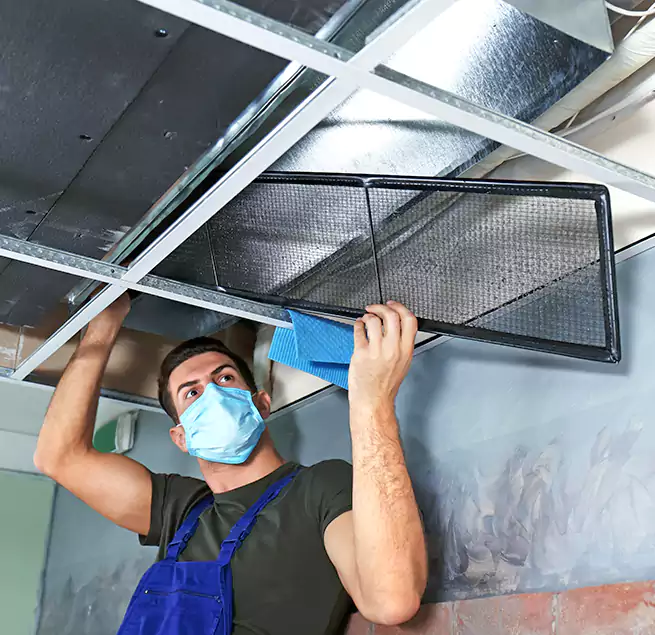 Why Homeowners Businesses Trust Us in Blaine, MN